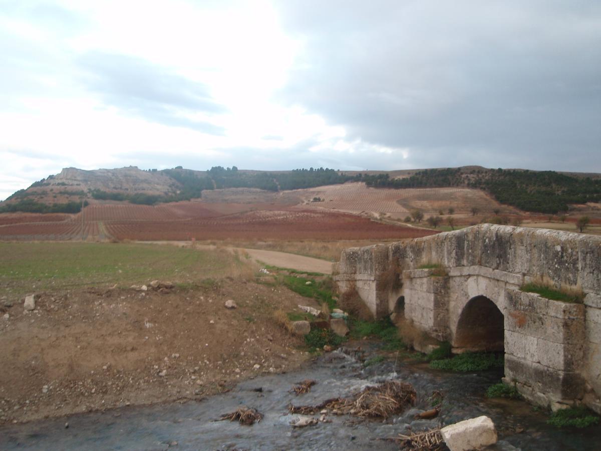Alojamiento Rural Pueblo De La Ribera Peñafiel Zewnętrze zdjęcie
